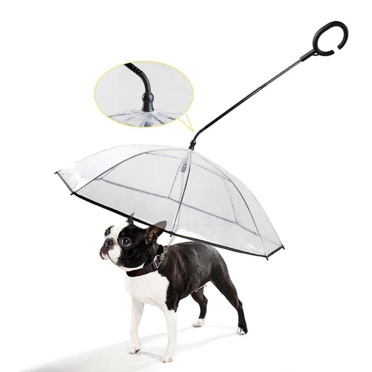 Umbrella for dogs - DiFFreight