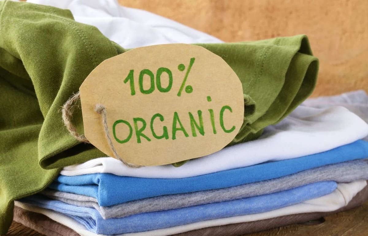 Eco-friendly clothes - a modern trend in consumption - DiFFreight