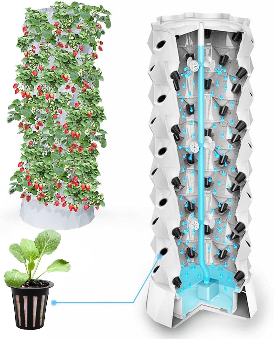 Hydroponic systems offer a number of advantages, including efficiency, convenience and control - DiFFreight