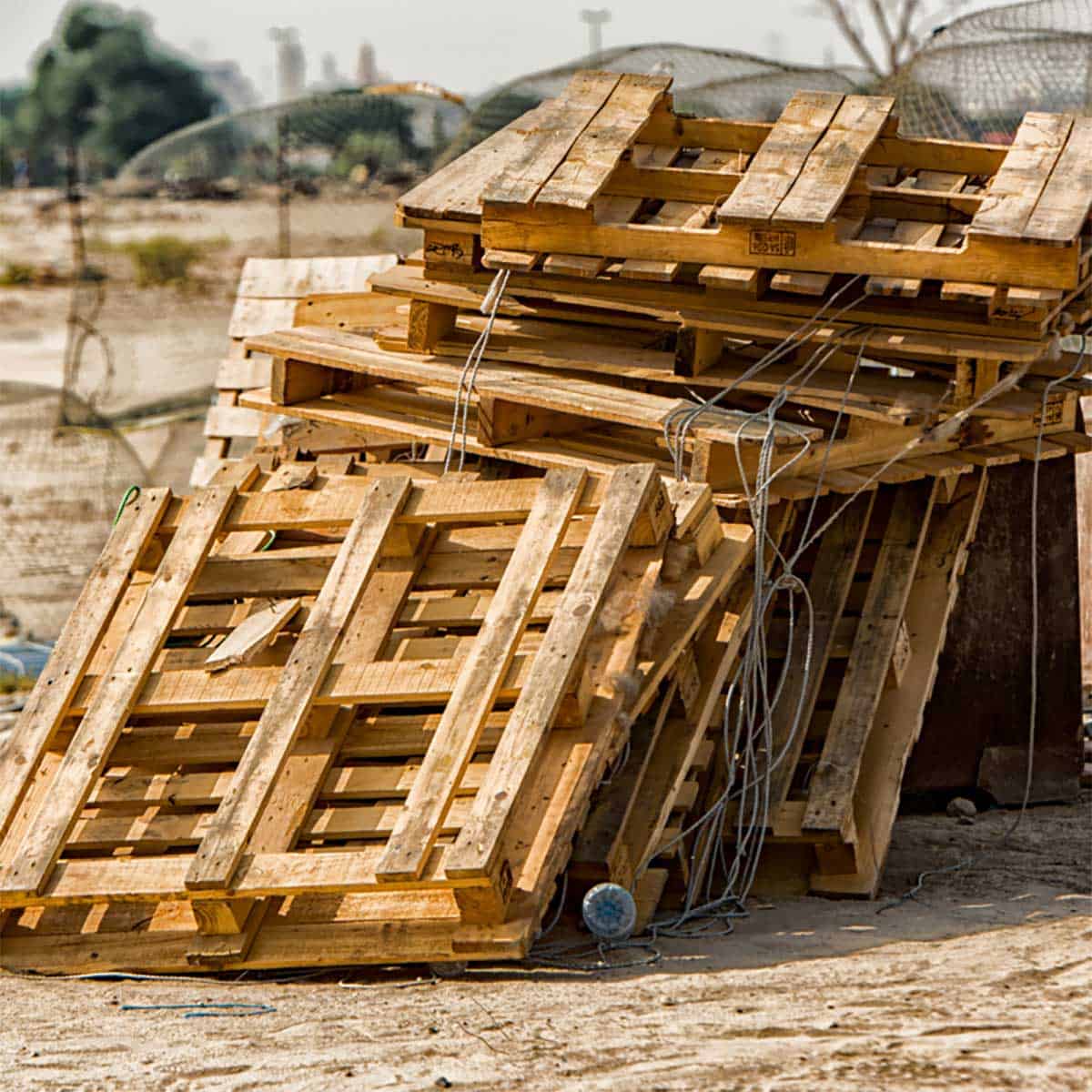 Wooden pallets or plastic? What's more practical in work?