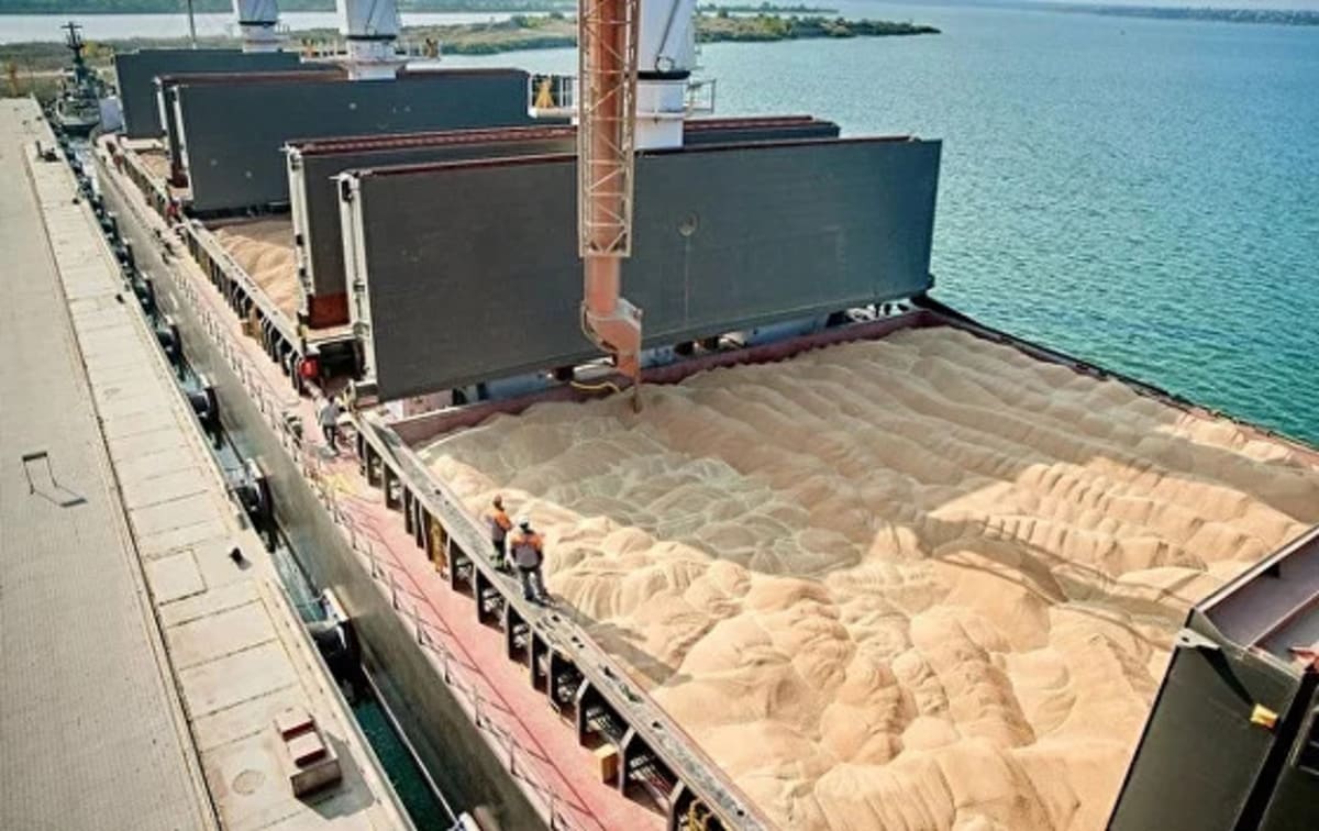 Ship insurance will have a positive impact on the work of grain traders - DiFFreight